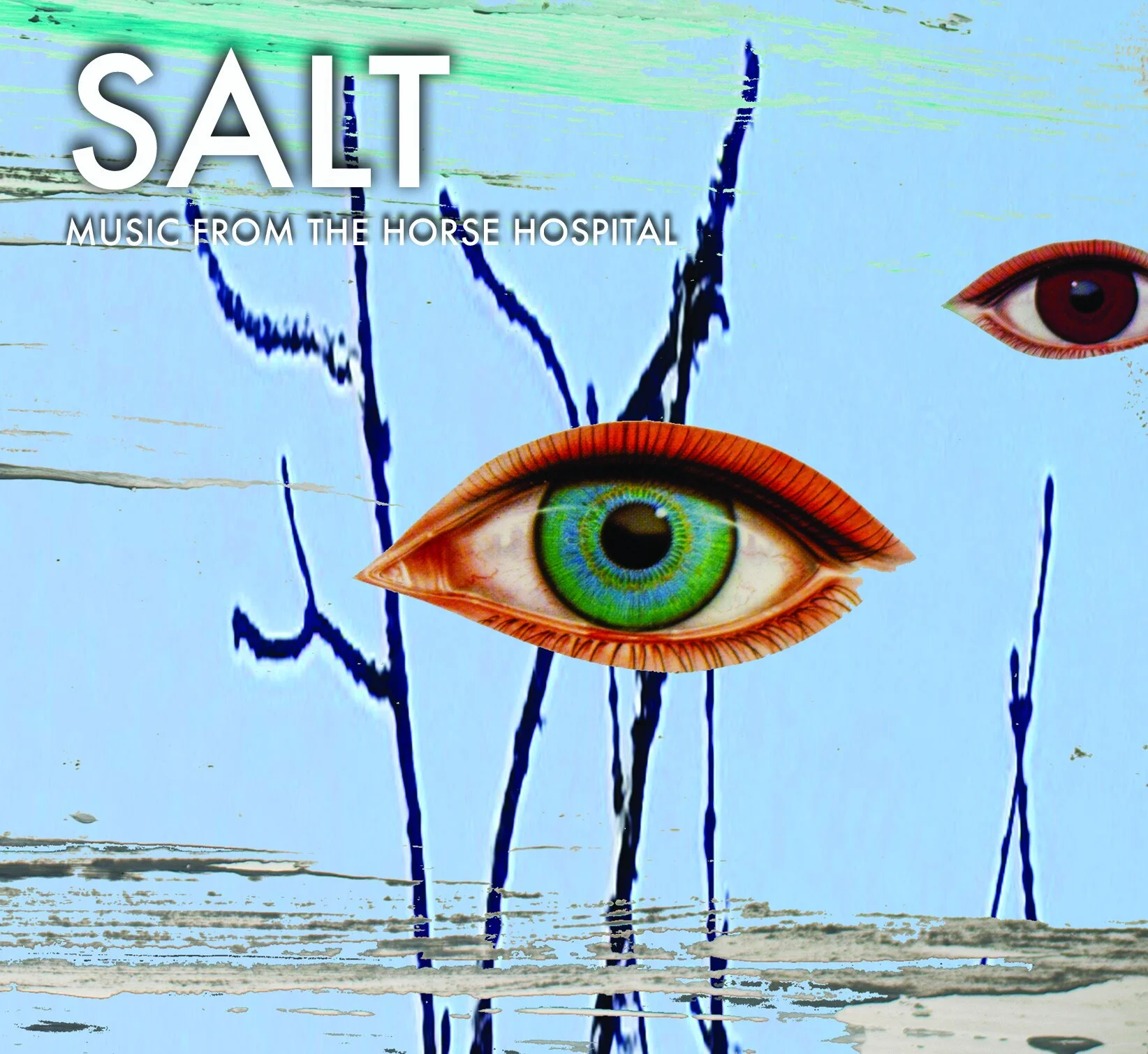 ボブ・ディラン　Salt For Salt　(2CD) Salt / Salt Marie Celeste Delux 2CD — NURSE WITH WOUND